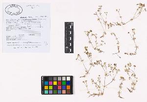 SW_BNB_s3040-01785_IMG-0000000001