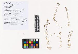 SW_BNB_s3040-01788_IMG-0000000001