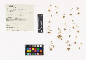 SW_BNB_s3040-01789_IMG-0000000001