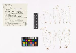SW_BNB_s3040-01792_IMG-0000000001