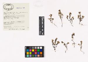 SW_BNB_s3040-01854_IMG-0000000001