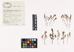 SW_BNB_s3040-01855_IMG-0000000001