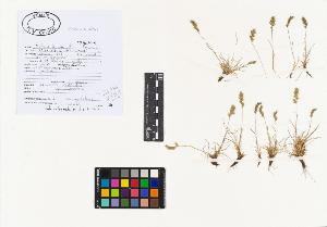 SW_BNB_s3040-01894_IMG-0000000001