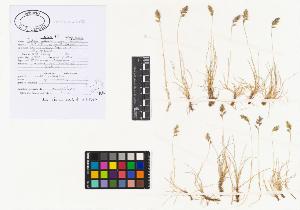 SW_BNB_s3040-01895_IMG-0000000001