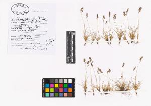 SW_BNB_s3040-01896_IMG-0000000001
