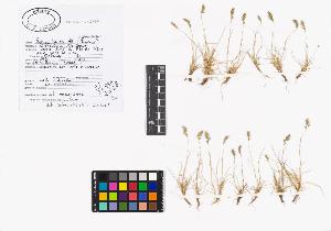 SW_BNB_s3040-01897_IMG-0000000001