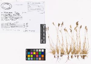 SW_BNB_s3040-01899_IMG-0000000001