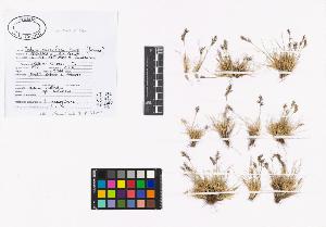 SW_BNB_s3040-01904_IMG-0000000001
