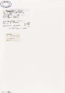 SW_BNB_s3040-01910_IMG-0000000001