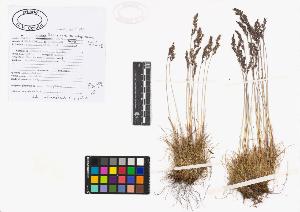 SW_BNB_s3040-01920_IMG-0000000001