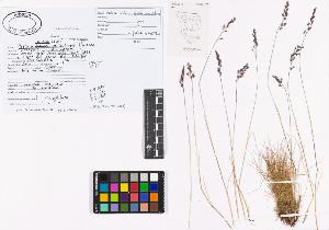 SW_BNB_s3040-01921_IMG-0000000001