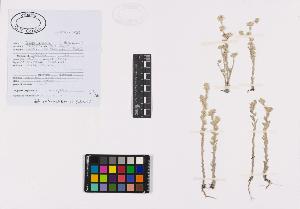 SW_BNB_s3040-01923_IMG-0000000001