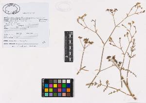 SW_BNB_s3040-01929_IMG-0000000001
