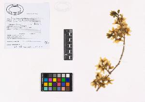 SW_BNB_s3040-01931_IMG-0000000001