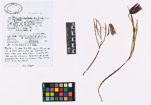 SW_BNB_s3040-01935_IMG-0000000001