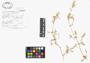 SW_BNB_s3040-01939_IMG-0000000001
