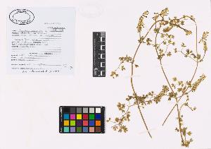 SW_BNB_s3040-01940_IMG-0000000001