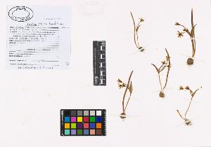 SW_BNB_s3040-01943_IMG-0000000001