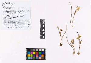 SW_BNB_s3040-01945_IMG-0000000001