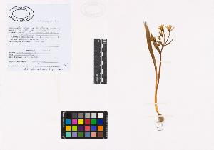 SW_BNB_s3040-01947_IMG-0000000001