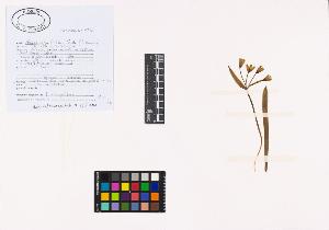 SW_BNB_s3040-01948_IMG-0000000001