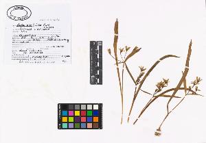 SW_BNB_s3040-01951_IMG-0000000001