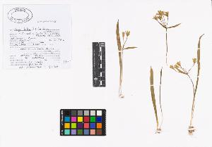 SW_BNB_s3040-01952_IMG-0000000001