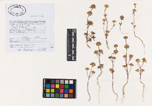 SW_BNB_s3040-01958_IMG-0000000001