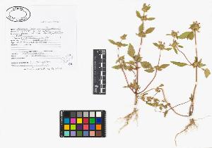 SW_BNB_s3040-01959_IMG-0000000001