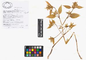 SW_BNB_s3040-01971_IMG-0000000001