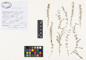 SW_BNB_s3040-01975_IMG-0000000001