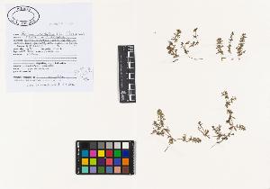 SW_BNB_s3040-01976_IMG-0000000001