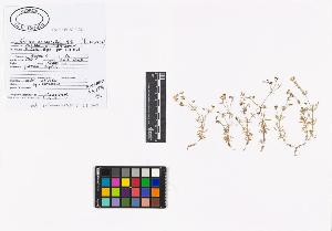 SW_BNB_s3040-01977_IMG-0000000001