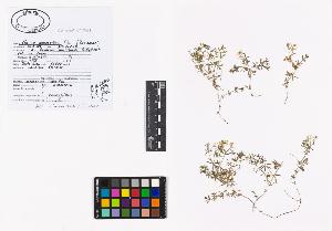 SW_BNB_s3040-01978_IMG-0000000001