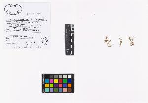 SW_BNB_s3040-01979_IMG-0000000001