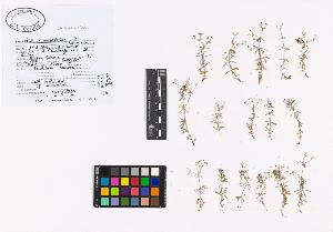 SW_BNB_s3040-01981_IMG-0000000001