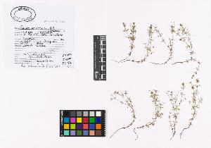 SW_BNB_s3040-01983_IMG-0000000001