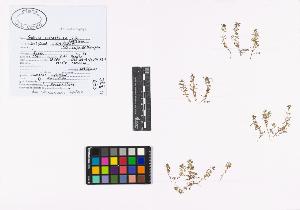 SW_BNB_s3040-01984_IMG-0000000001
