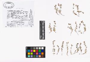 SW_BNB_s3040-01985_IMG-0000000001