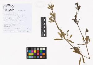 SW_BNB_s3040-01986_IMG-0000000001