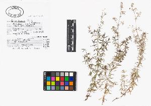 SW_BNB_s3040-01999_IMG-0000000001