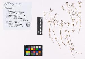 SW_BNB_s3040-02020_IMG-0000000001