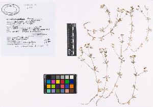 SW_BNB_s3040-02021_IMG-0000000001