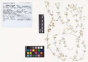 SW_BNB_s3040-02023_IMG-0000000001