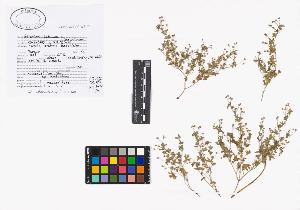 SW_BNB_s3040-02030_IMG-0000000001