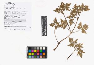 SW_BNB_s3040-02040_IMG-0000000001