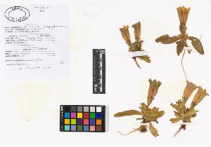 SW_BNB_s3040-02062_IMG-0000000001