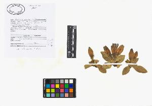 SW_BNB_s3040-02063_IMG-0000000001