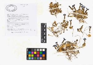 SW_BNB_s3040-02069_IMG-0000000001