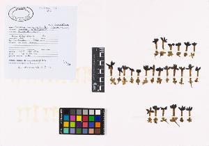 SW_BNB_s3040-02071_IMG-0000000001